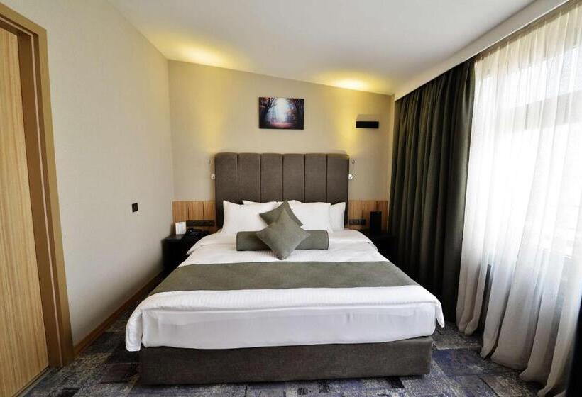 Fotos del hotel Best Western Plus Center:  4
