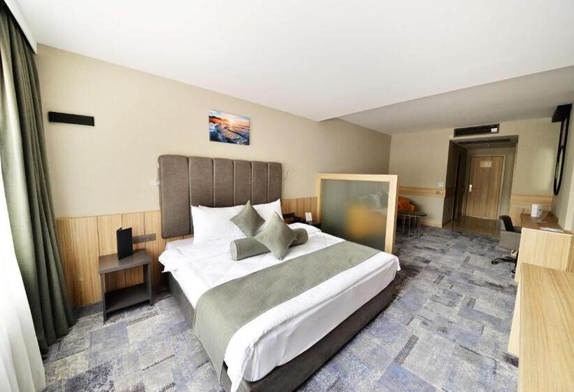 Best Western Plus Center