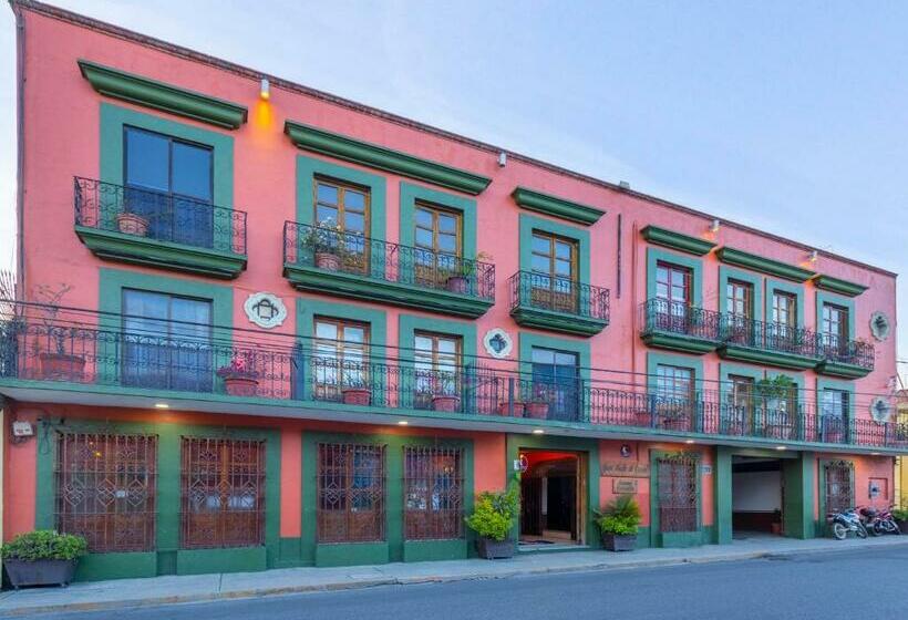 Fotos del hotel Valle De Oaxaca:  5