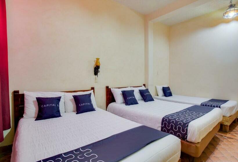 Fotos del hotel Valle De Oaxaca:  6