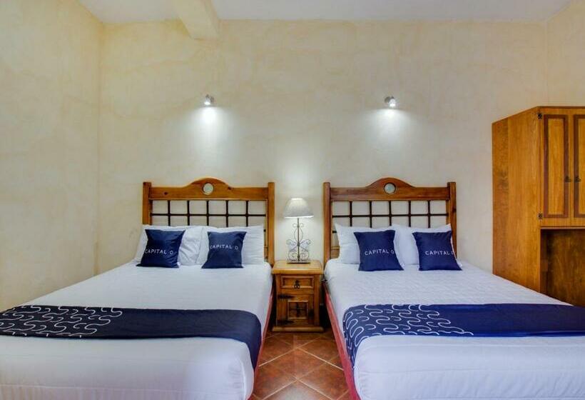 Fotos del hotel Valle De Oaxaca:  9