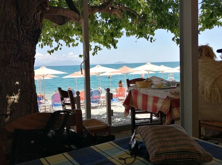 Fotos del hotel Palataki Residence:  21