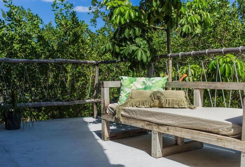 Fotos del hotel Roc Jungle Tulum:  3