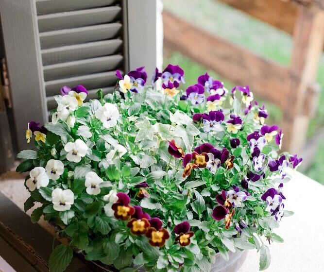 Fotos del hotel Opora Country Living:  7