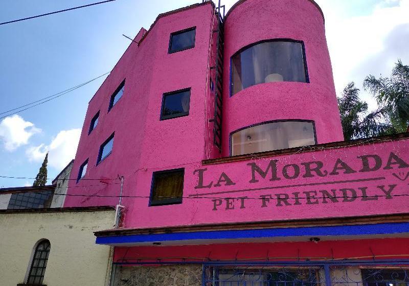 Fotos del hotel La Morada Del Xolo By Oyo Rooms:  3