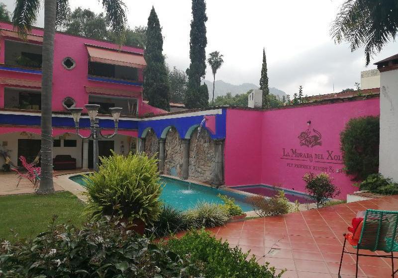 Fotos del hotel La Morada Del Xolo By Oyo Rooms:  10