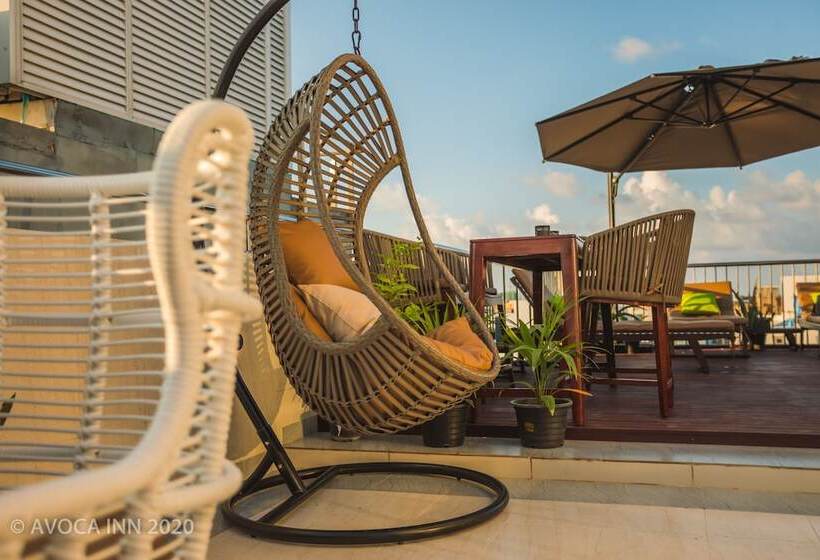 Fotos del hotel Avoca Inn:  16