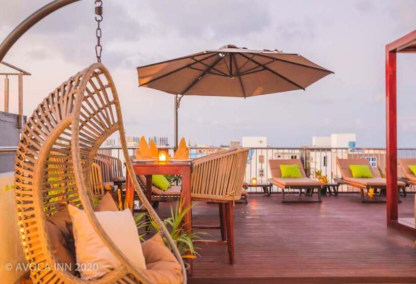 Fotos del hotel Avoca Inn:  21