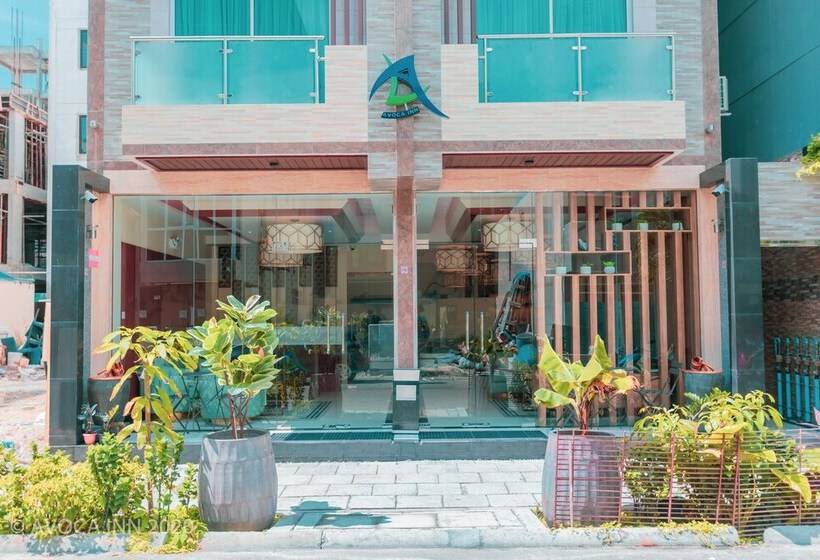 Fotos del hotel Avoca Inn:  17