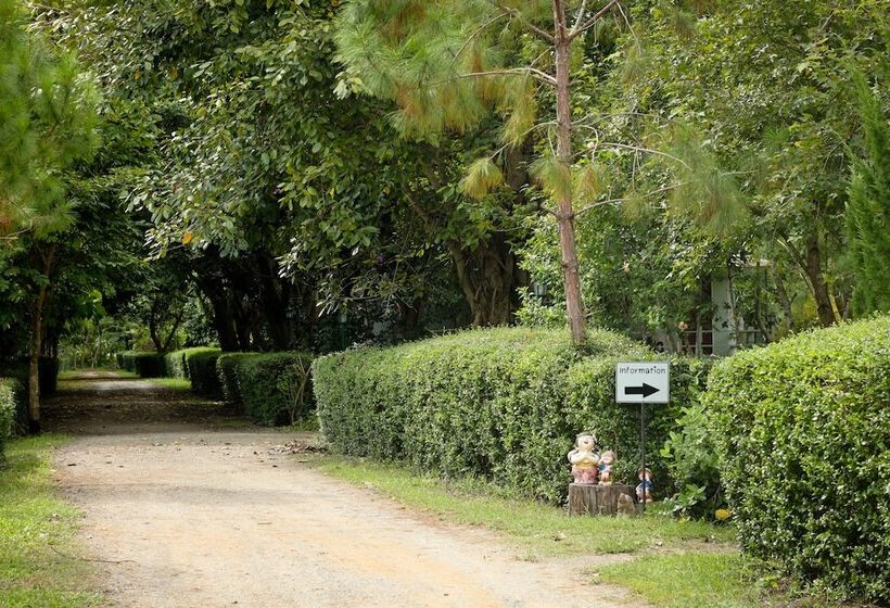 Fotos del hotel Pai Flora Resort:  5