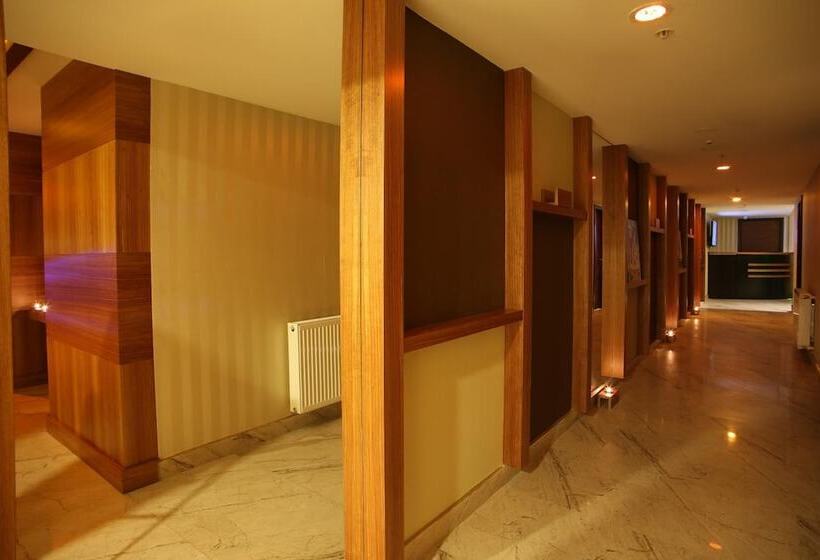 Fotos del hotel Mardinn:  12