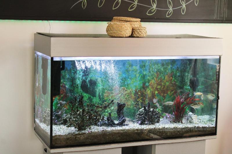 Fotos del hotel Richter:  7