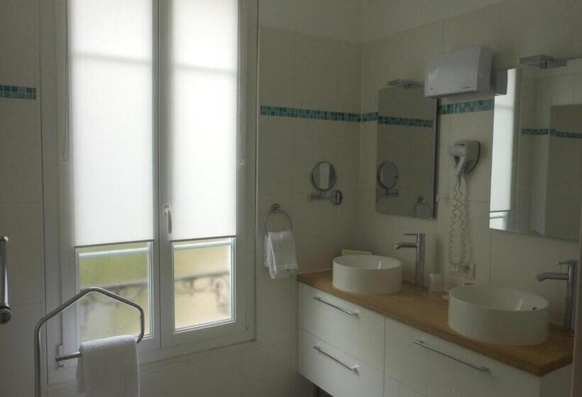 Fotos del hotel Villa Les Cygnes:  13