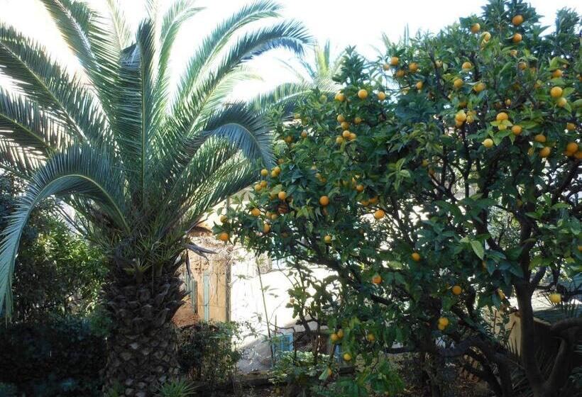 Fotos del hotel Villa Les Cygnes:  22