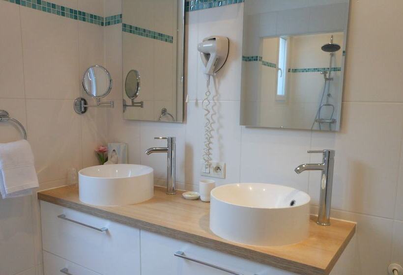 Fotos del hotel Villa Les Cygnes:  8