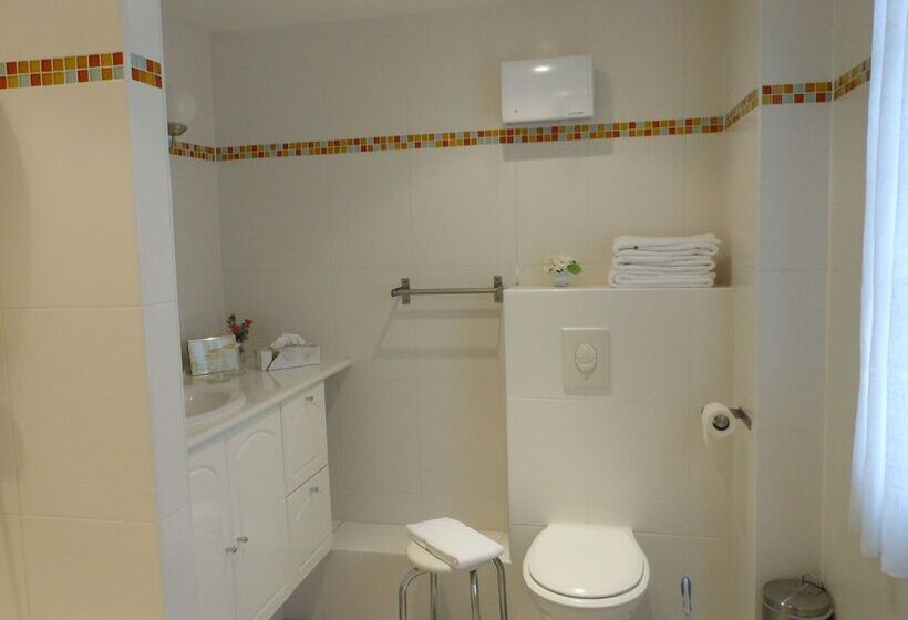 Fotos del hotel Villa Les Cygnes:  3