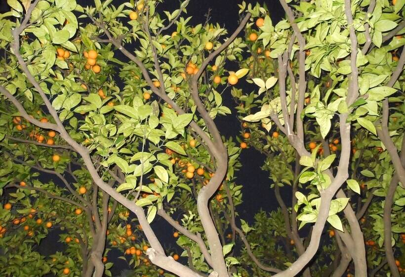 Fotos del hotel Villa Les Cygnes:  4