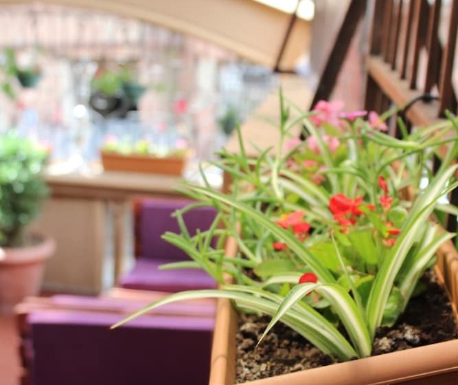 Fotos del hotel Vita Plaza:  17