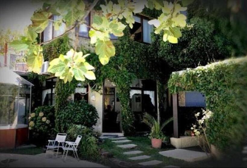 Fotos del hotel Posada Del Angel:  18