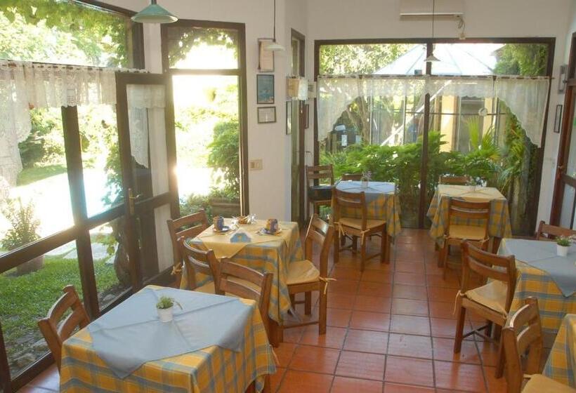 Fotos del hotel Posada Del Angel:  6