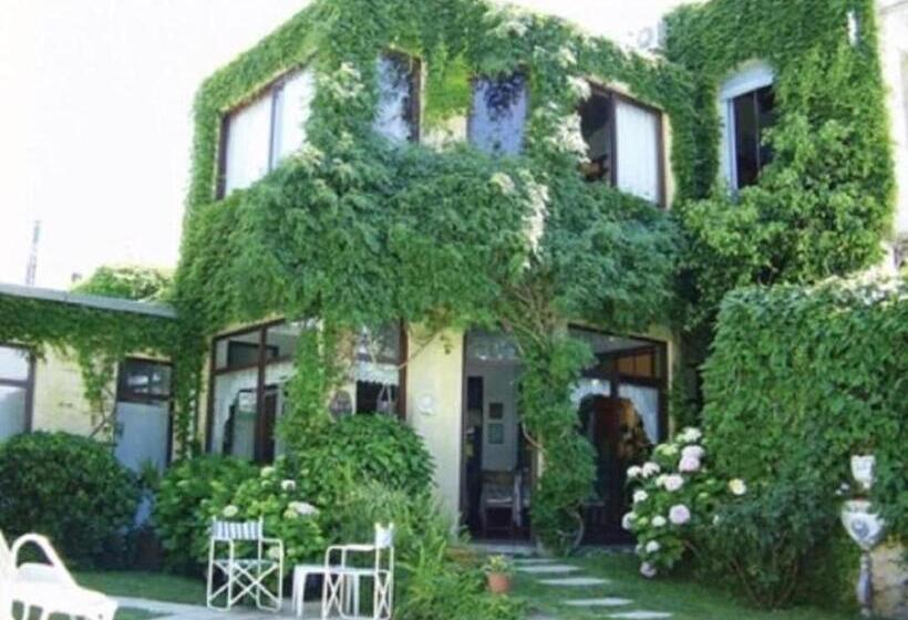 Fotos del hotel Posada Del Angel:  8