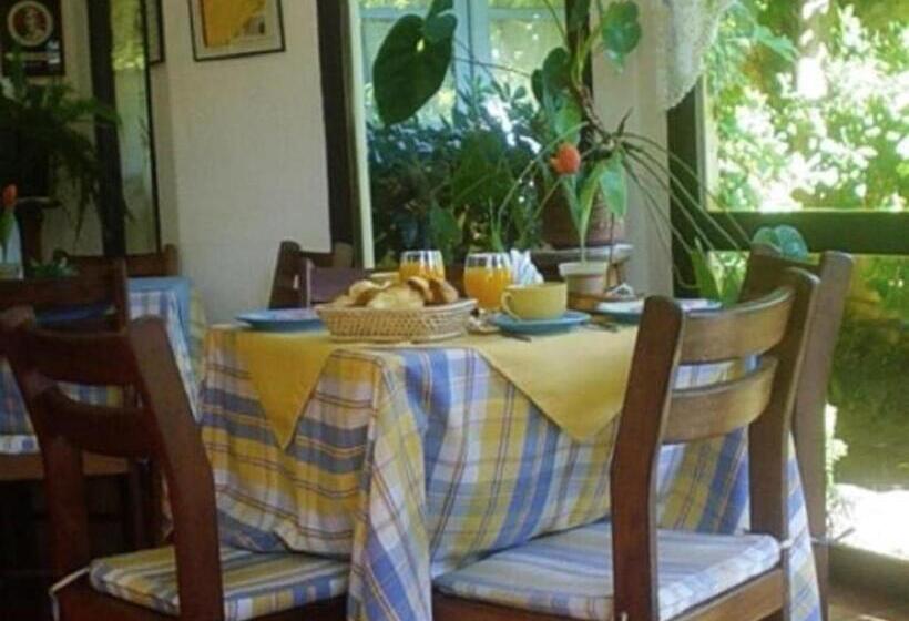 Fotos del hotel Posada Del Angel:  12