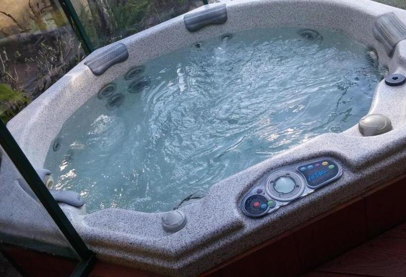 Fotos del hotel Posada Del Angel:  5