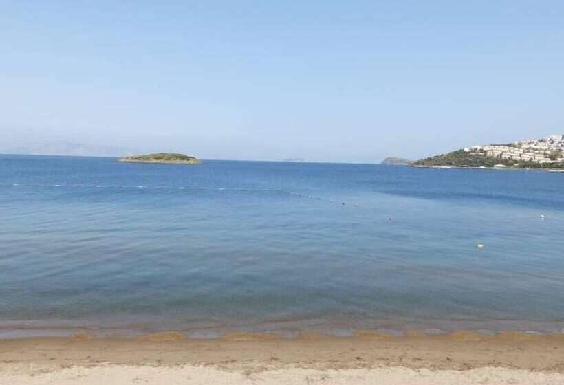 Fotos del hotel Club Blue White  All Inclusive:  14