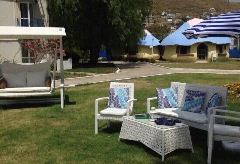 Fotos del hotel Club Blue White  All Inclusive:  21