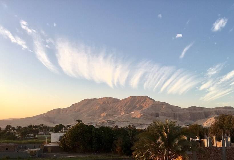 Fotos del hotel New Memnon:  4