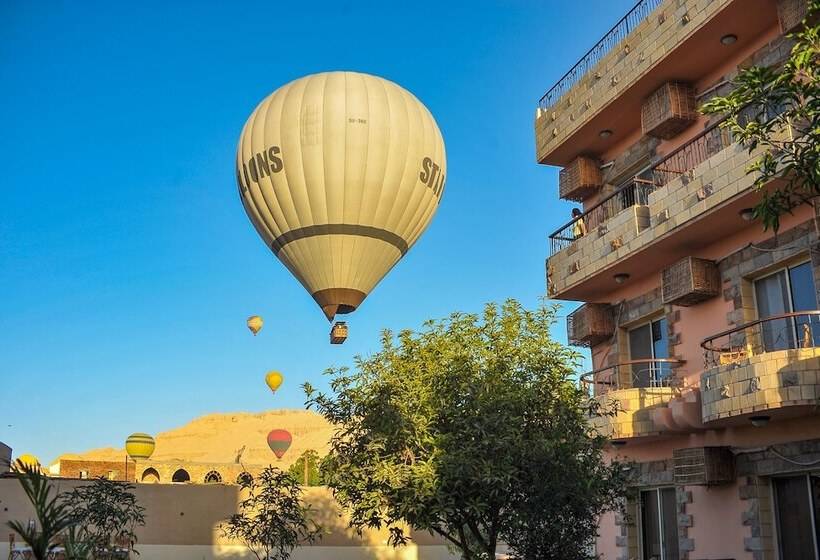 Fotos del hotel New Memnon:  13