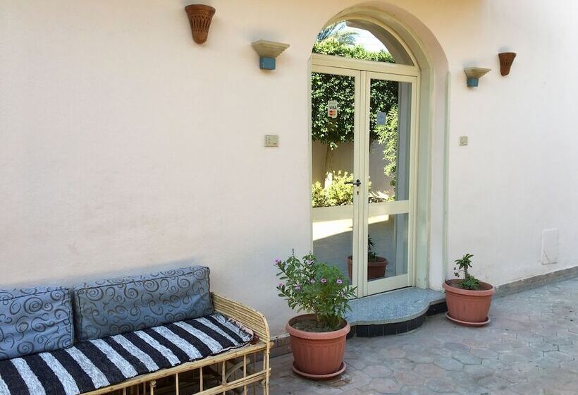 Fotos del hotel New Memnon:  3