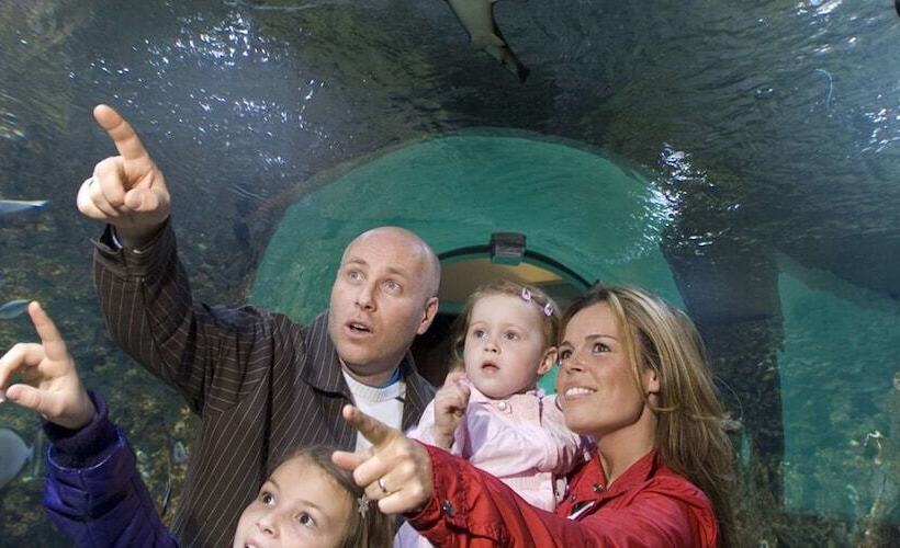 Fotos del hotel Magic Hotel Solheimsviken:  4