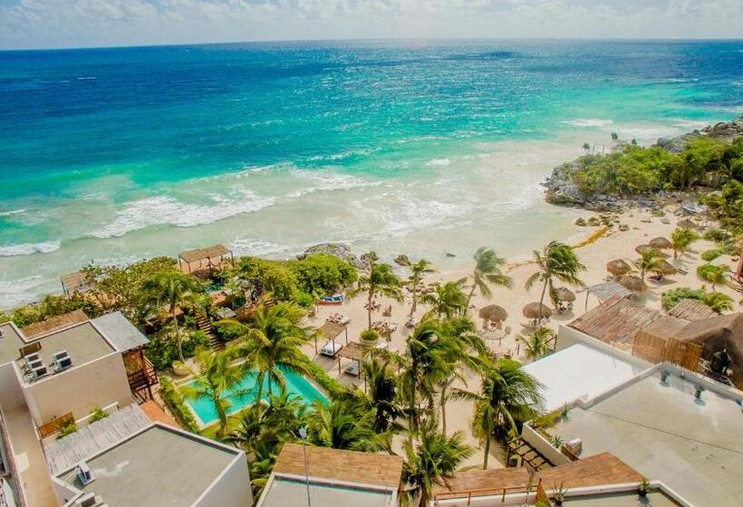 Fotos del hotel Maria Del Mar Tulum:  5