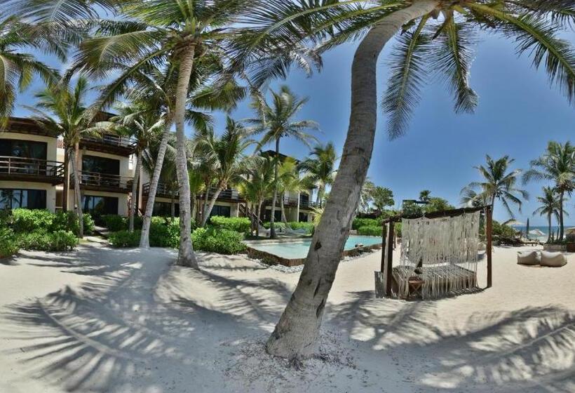 Fotos del hotel Maria Del Mar Tulum:  13