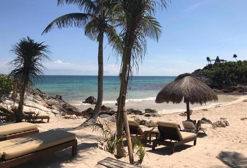 Fotos del hotel Maria Del Mar Tulum:  9