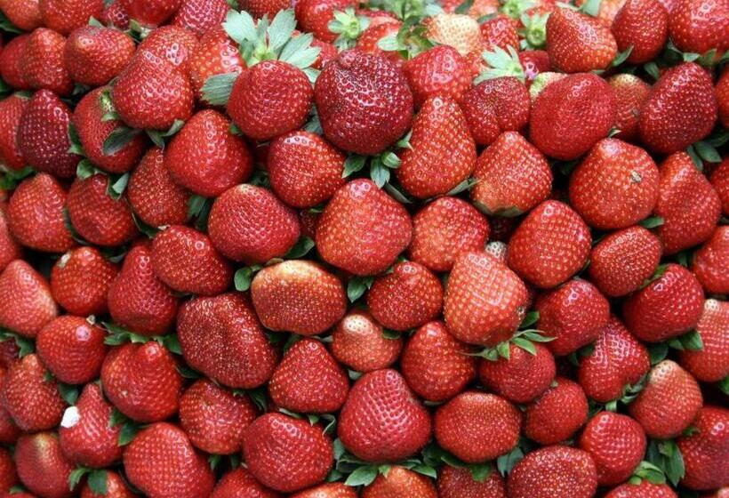 Fotos del hotel Nyc Manhattan Suites:  11