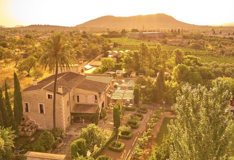 Fotos del hotel Sa Vinya Des Convent   Bodega:  4