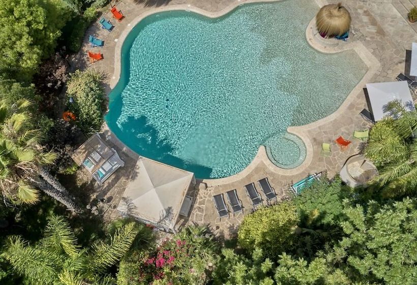 Fotos del hotel Sa Vinya Des Convent   Bodega:  1