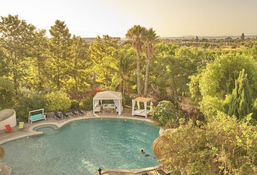 Fotos del hotel Sa Vinya Des Convent   Bodega:  18