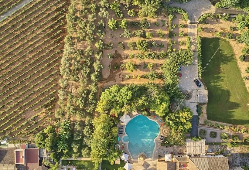 Fotos del hotel Sa Vinya Des Convent   Bodega:  7