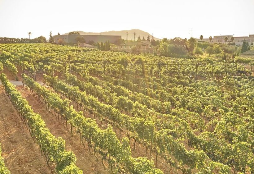 Fotos del hotel Sa Vinya Des Convent   Bodega:  16