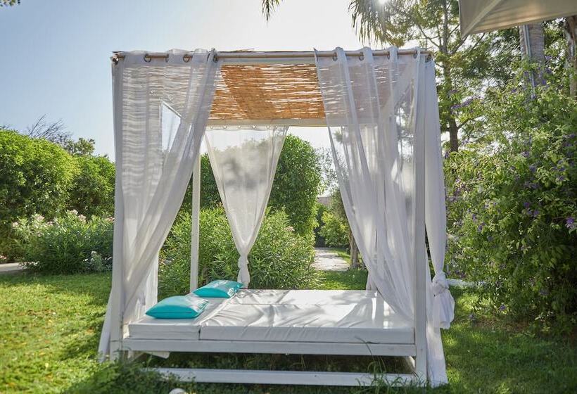 Fotos del hotel Sa Vinya Des Convent   Bodega:  25