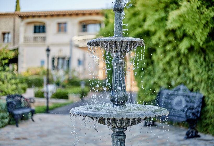 Fotos del hotel Sa Vinya Des Convent   Bodega:  6