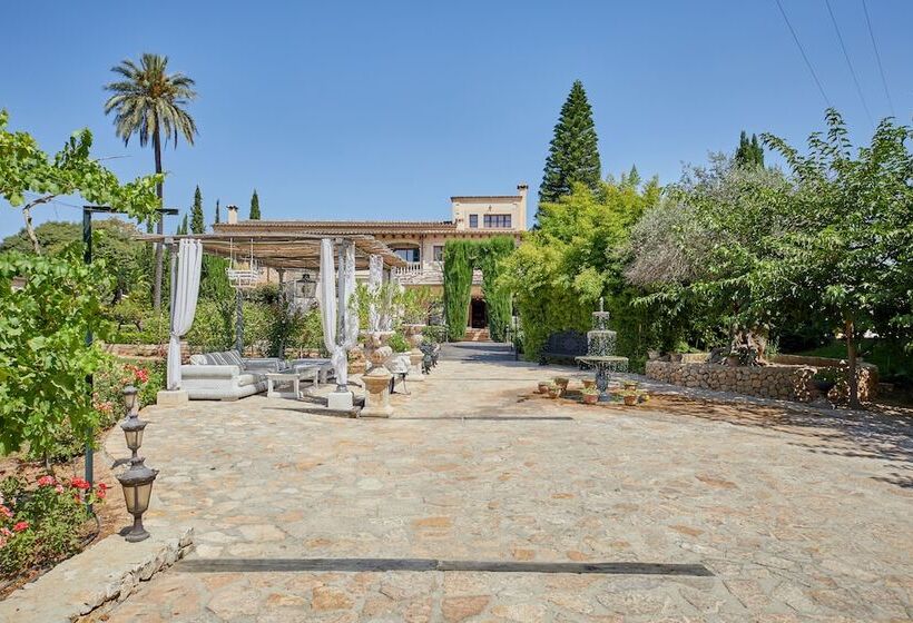 Fotos del hotel Sa Vinya Des Convent   Bodega:  19