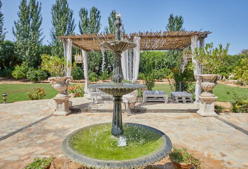 Fotos del hotel Sa Vinya Des Convent   Bodega:  9