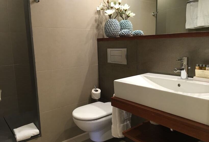 Fotos del hotel Duquesa Suites Barcelona:  17