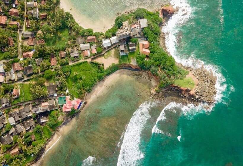 Fotos del hotel New Bay View Villa:  4