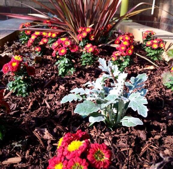 Fotos del hotel Pelican London Hotel And Residence:  4