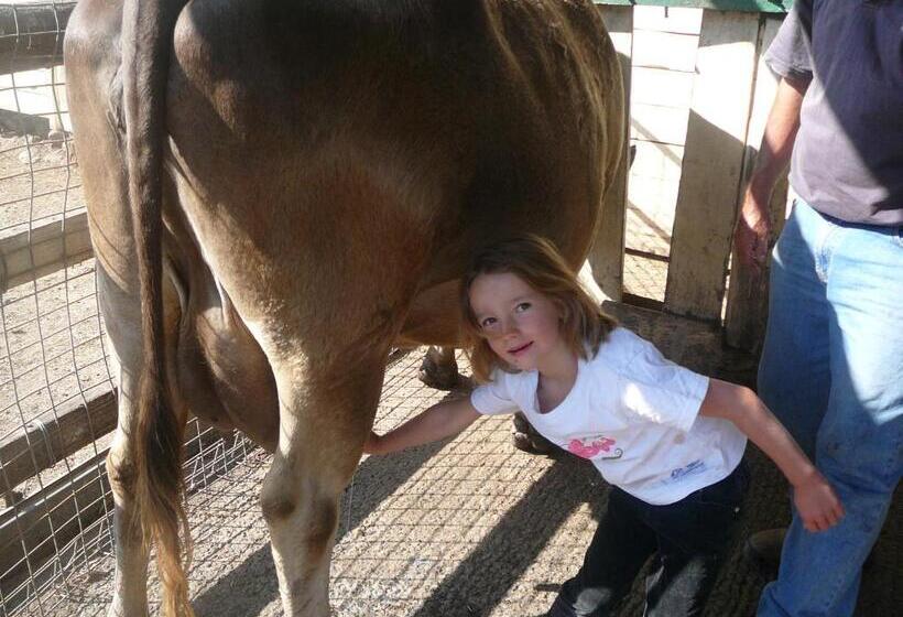 Fotos del hotel Bestbrook Mountain Farmstay:  4